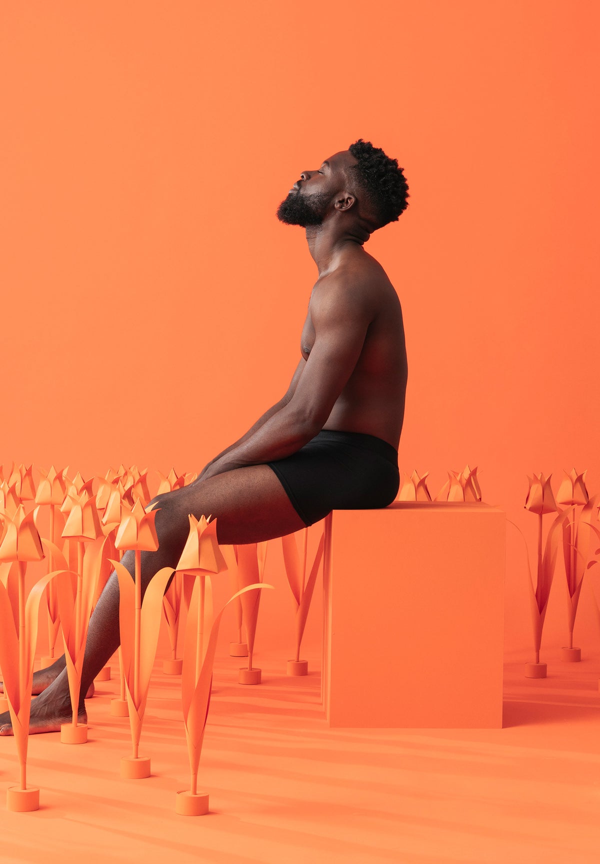 //snocks.com/cdn/shop/files/Easter-22-5.jpg?v=1659438885