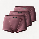 {"alt": "Retro Panties - Unterhosen - Mauve", "quantity":"3"}